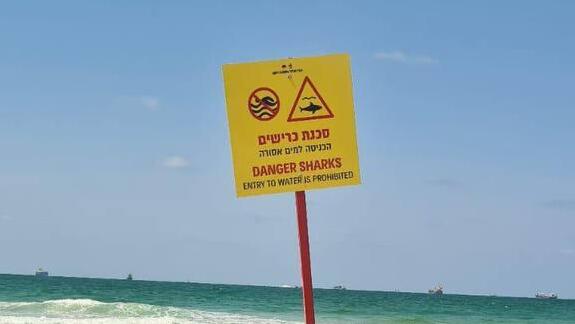 התרעה על כריש בחוף י"א באשדוד 