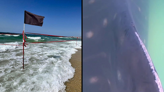 הכריש במים וחסימת החוף