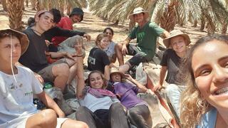 Kedma service-year youth in the date orchards 