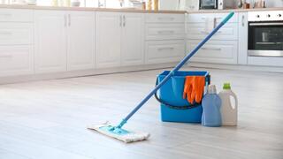 ניקיון הבית