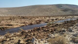 זיהום נחל אשלים ביוני 2017