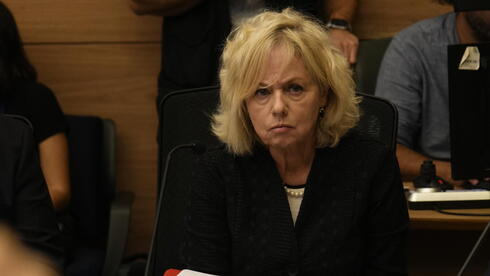 דיון ועדת החוקה