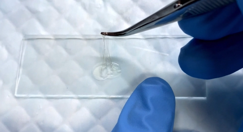 דבק ביולוגי טכניון