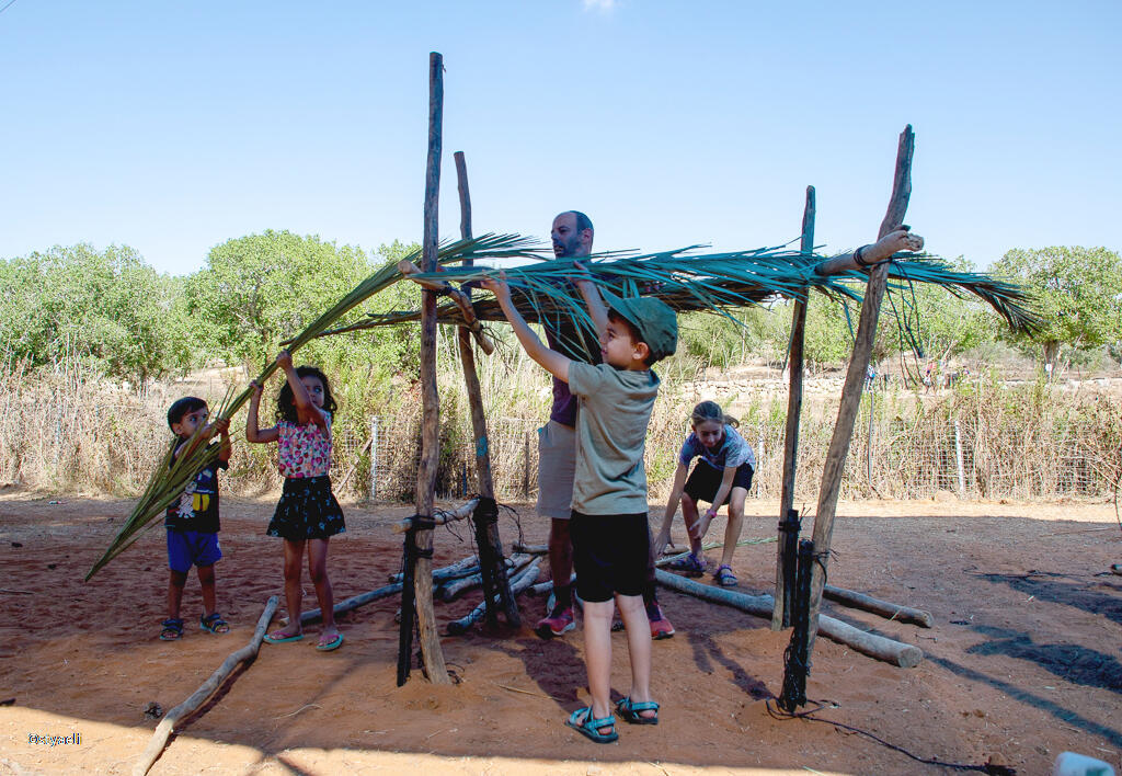 סוכות בנאות קדומים