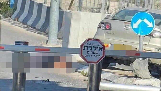 המחבל נוטרל