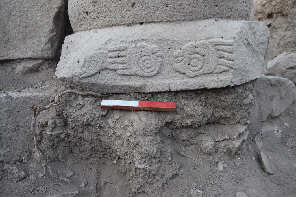 Элемент декора (Фото: д-р Михаэль Азбанд) דגם על כותרת הפוכה