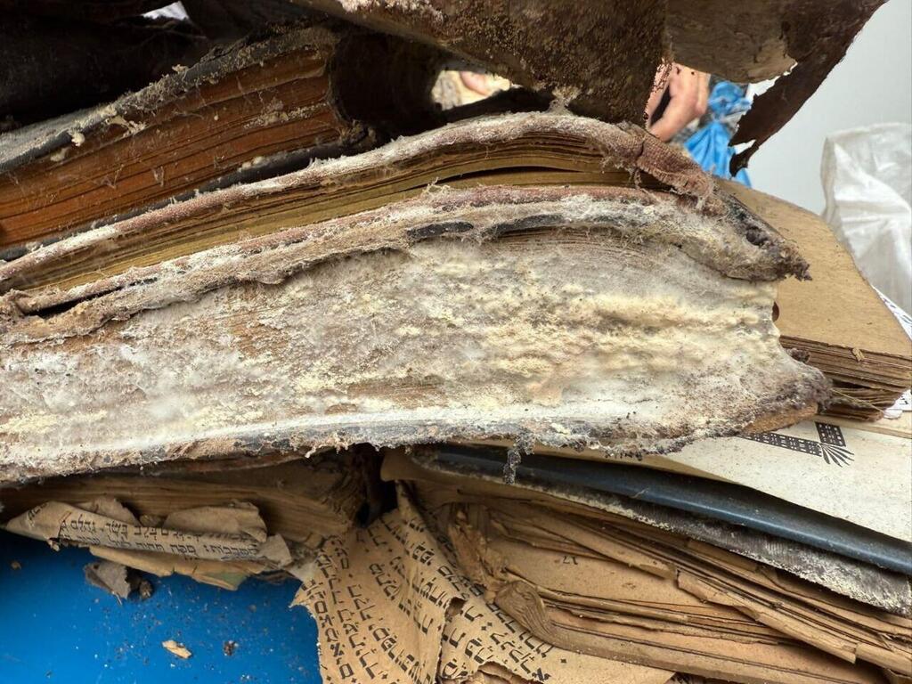 חלק מהספרים נמצאו עם עובש ופטריות