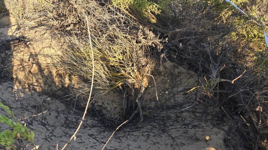 זירת הנפילה סמוך לנתיב העשרה