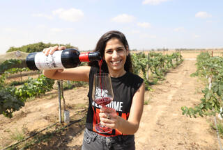 היקבים באיזור עוטף עזה חוזרים לבציר  