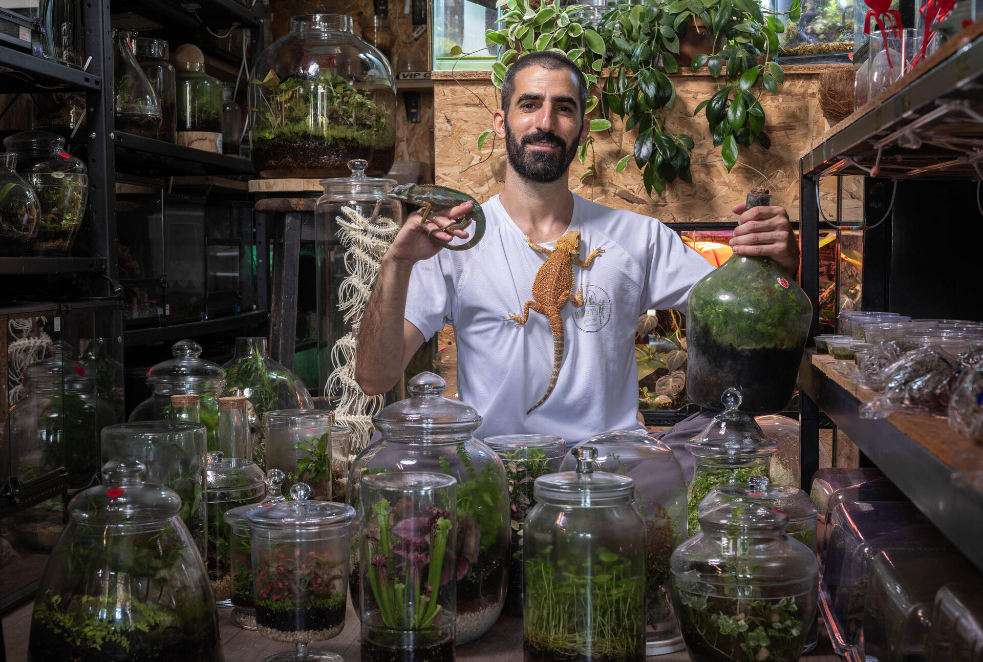 חג האיסוף. ד"ר צור רונן אמסלם, אספן טרריומים  
