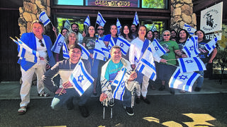 מפגן התמיכה במדינת ישראל