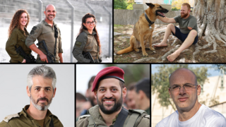 מתנאל ויינברג, צליל פדאל, אמיר חוסייסי, יעל הראל נכון, איתי גיטלר, דוידי בן ציון, יואב אדומי