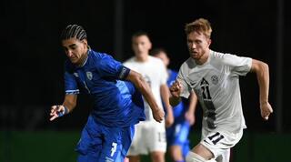 תאי עבד בפעולה