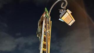 מורידים שלטי תמיכה בטרור ביהודה ושומרון