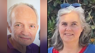 דוד גולדפלד ווליסקה פאו, זוג הנעדרים שנפל למותו בנחל צאלים