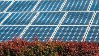 פאנלים סולאריים בניו יורק