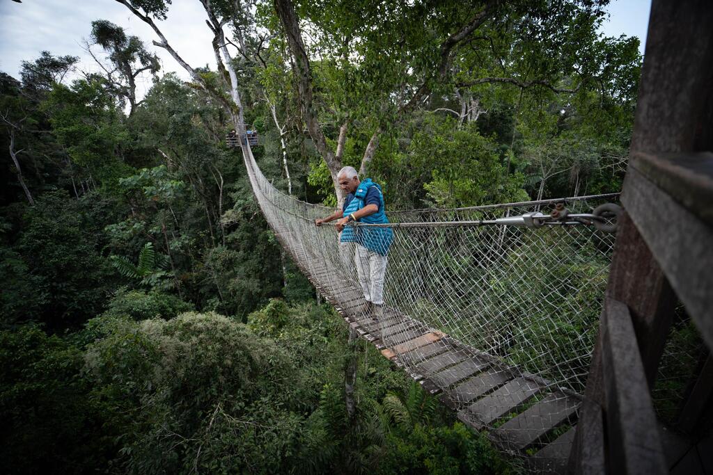 Inside the jungle (Photo: Limor Zadok) טיול בפרו