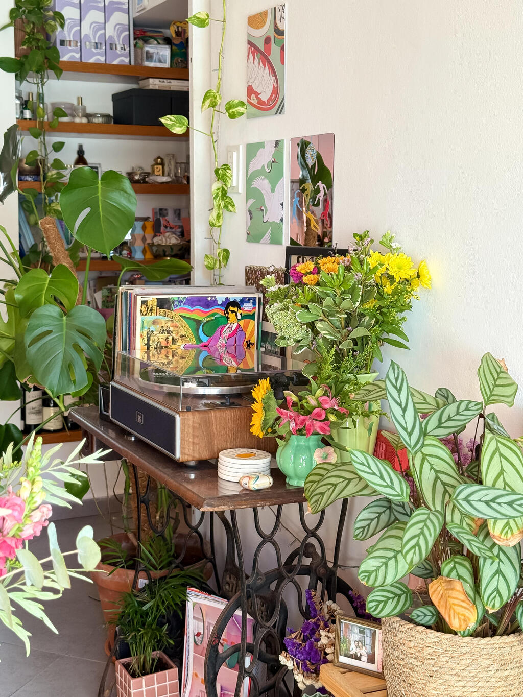 Plenty of shelves and plenty of plants (Photo: Noam Ron) הדירה של אביב ונדב, מדור כאן גרים