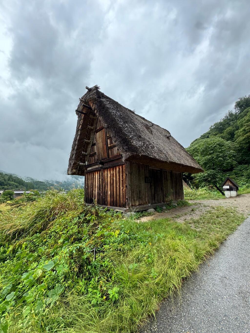 Shirakawa-go – the weather wasn’t on our side (Photo: Shelly Tal) שירקאווה-גו, מזג האוויר לא האיר פנים