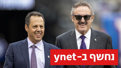 זיגי ומארק ווילף