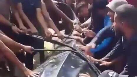 הענק העדין: סיפורו של הדג הגדול בעולם שניצוד בעזה