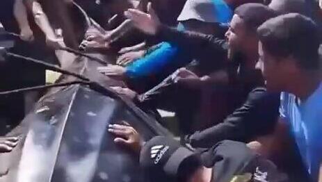 כריש ברצועת עזה