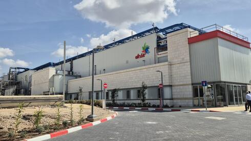המפעל של שטראוס