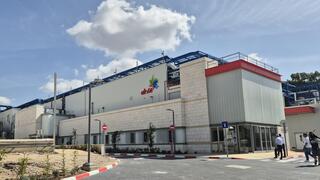 המפעל של שטראוס