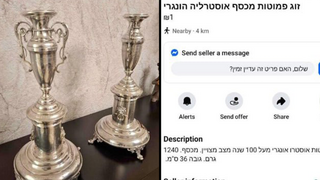 הפמוטים מוצעים למחירה בפייסבוק 