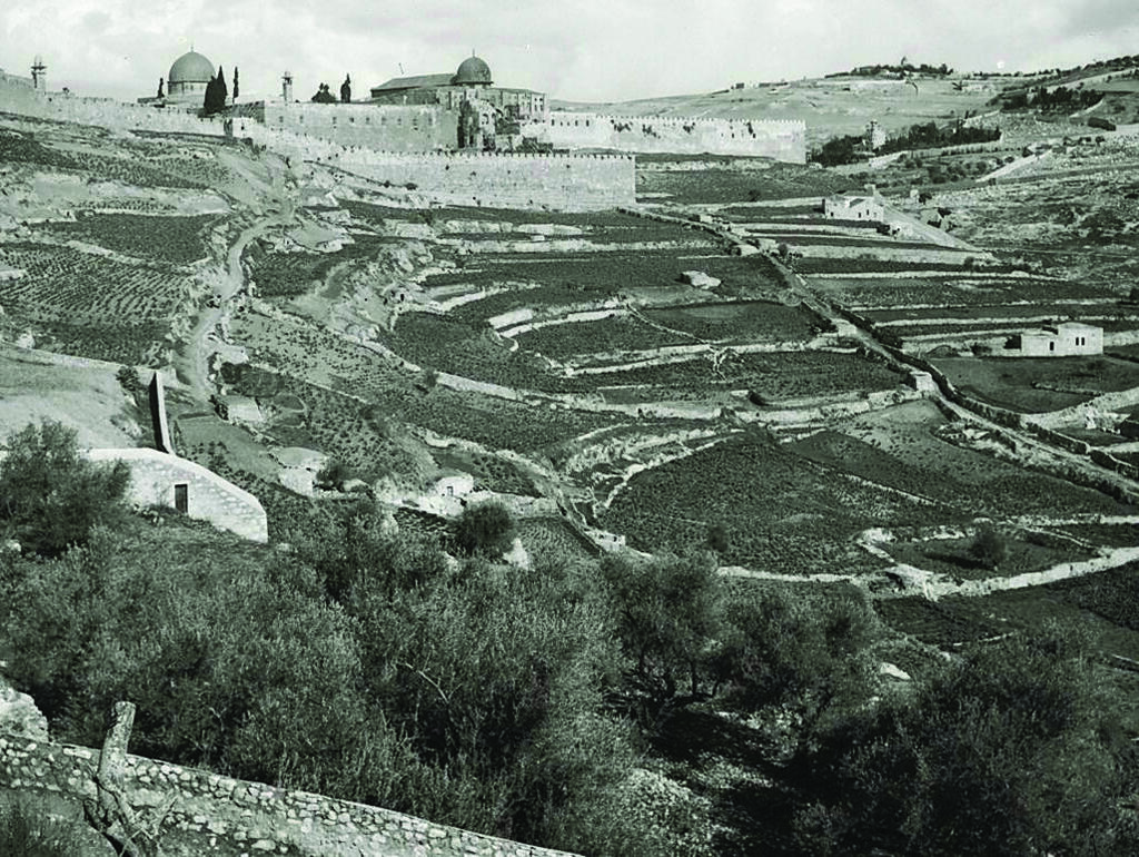 The City of David and the Temple Mount in the early 20th century, 1910–1920 (Photo: City of David) עיר דוד והר הבית במחצית הראשונה של המאה ה-20, 1910–1920