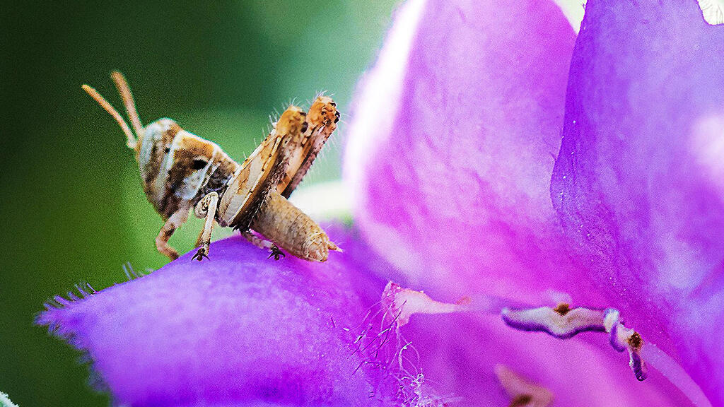 Фото с выставки "Мир маленький. Мир бесконечный" (Фото: Лев Равич ) Фото с выставки "Мир маленький. Мир бесконечный"