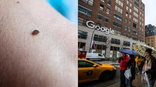 מימין: משרדי גוגל בצ'לסי, משמאל: פשפש מיטה