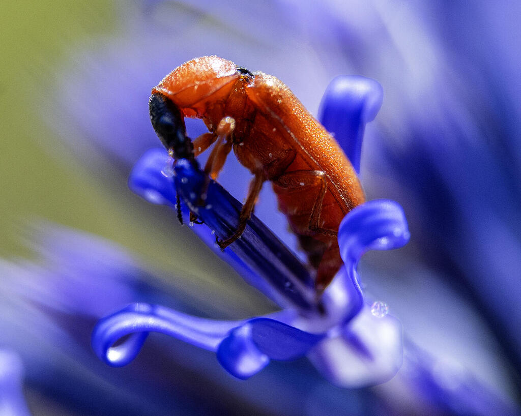 Фото с выставки "Мир маленький. Мир бесконечный" (Фото: Лев Равич ) Фото с выставки "Мир маленький. Мир бесконечный"