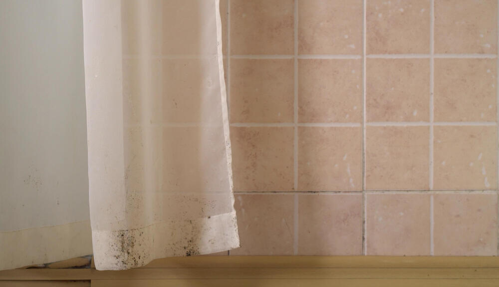 Фото: shutterstock