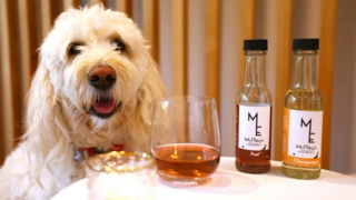 כלב בשם "מו" לצד דוגמיות של יינות נטולי אלכוהול של חברת Muttley's Estate, שיצאו לשימוש חיות מחמד