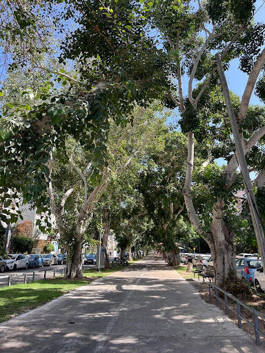 Lifestyle-first areas