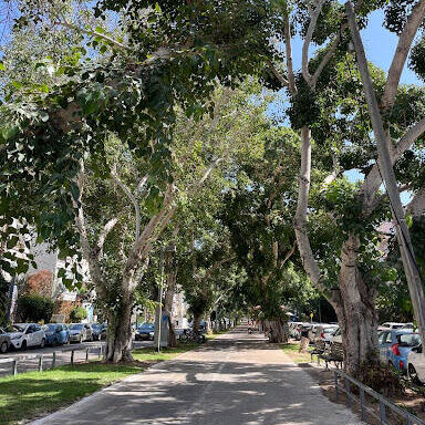 Lifestyle-first areas