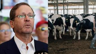 נשיא המדינה יצחק הרצוג