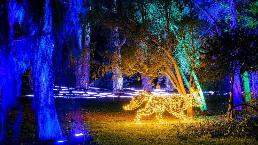 На выставке Winter Dreams 