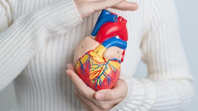 Photo: Shutterstock לב