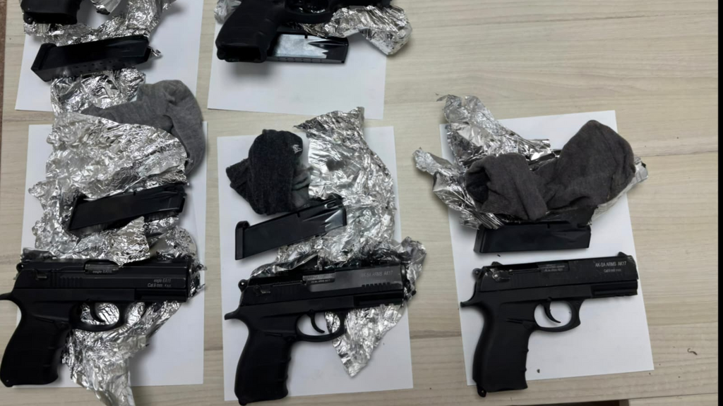 האקדחים ש נתפסו בסיכול הברחת הנשקים בה מואשמים  סהרח נגושי וגויטום ארפיינו