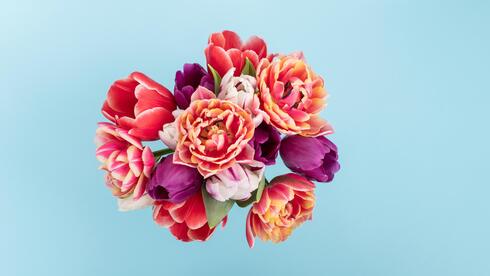 אגרטל, זר פרחים