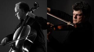 גיא בראונשטיין צבי פלסר