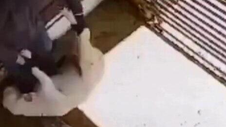 תיעוד פלסטיני: "מתנחלים תקפו עדרים בדרום הר חברון והציתו אש בסבסטיה"