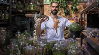 ד"ר צור רונן אמסלם, טרריום