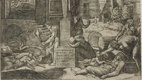 מגפת "המוות השחור", באיור שממחיש כיצד הכתה באיטליה