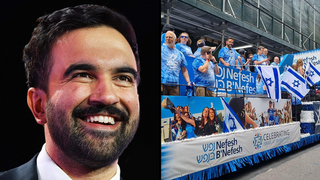 זוהראן ממדאני ניו יורק