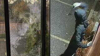 ניפוץ חלונות בית הכנסת "קהילת שערי תורה" בטורונטו