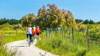 רוכבי אופניים באי אולרון ב צרפת ארכיון