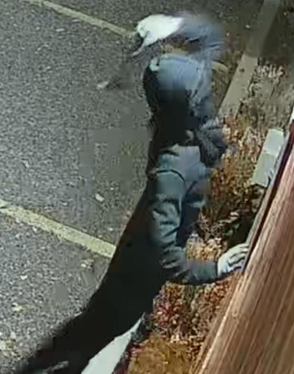 The suspect in the Shaarei Torah synagogue vandalism (Photo: Toronto Police) החשוד בניפוץ חלונות בית הכנסת "קהילת שערי תורה" בטורונטו